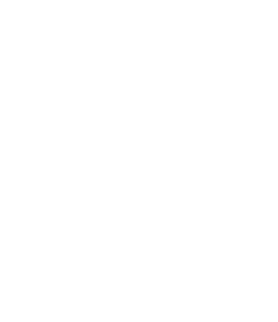A group of attorneys